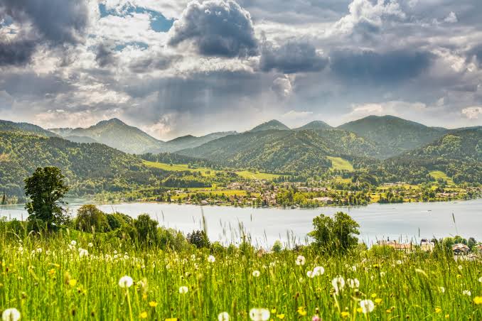 La imagen muestra un paisaje natural lleno de vida y tranquilidad. Frente a la persona se extiende un amplio campo cubierto de pasto verde, salpicado con decenas de flores silvestres, principalmente dientes de león que se mecen suavemente con el viento. Es un lugar que parece vibrar con frescura y aromas de naturaleza pura.
Más allá del campo, se encuentra un lago de aguas quietas que refleja la luz del cielo. Sobre el lago, unas nubes gruesas y oscuras cubren parcialmente el cielo, pero dejan pasar algunos rayos de sol que caen como haces de luz sobre las montañas del fondo, creando un contraste hermoso entre sombra y claridad.
Al fondo, se alzan montañas cubiertas de bosques verdes, con formas redondeadas y suaves.
